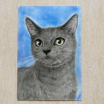 Amazon.co.jp: 猫 絵画 子猫 イラスト 水彩色鉛筆 油彩色鉛筆 原画