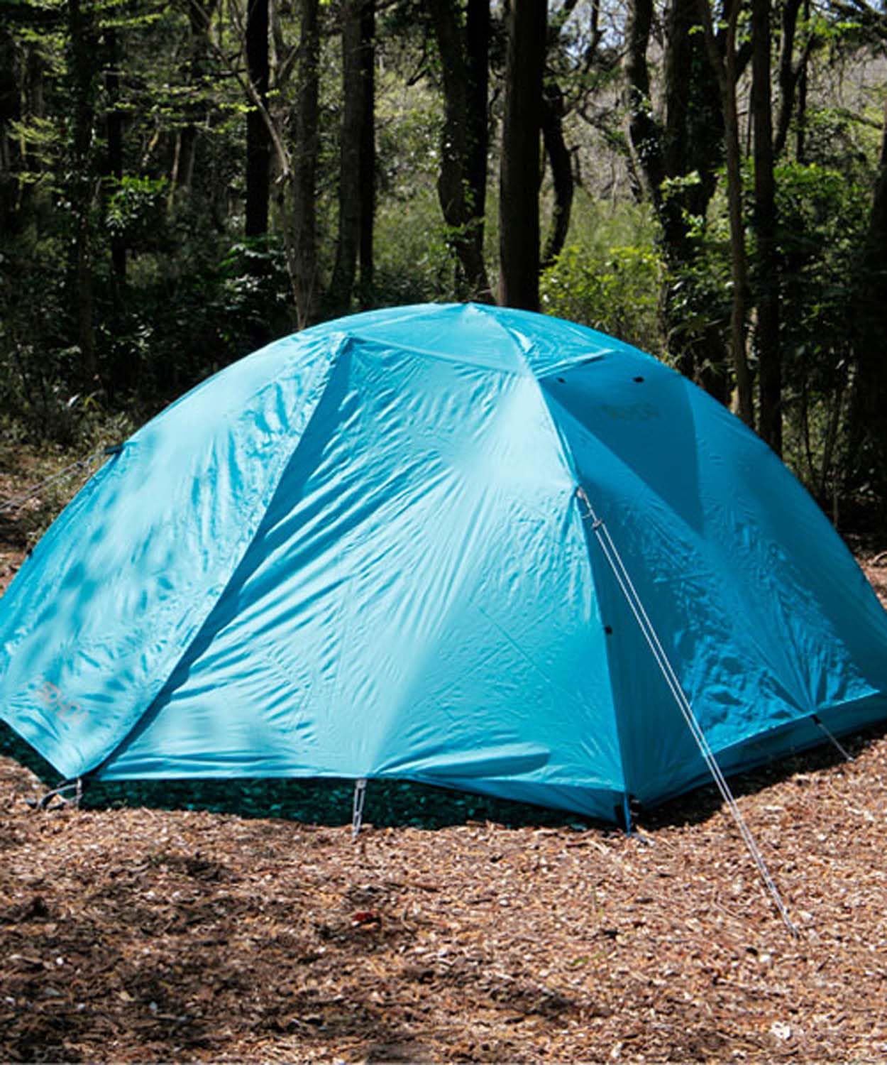 新品SIERRA DESIGNSシエラデザインズテントキャンプタープ Amazon.co