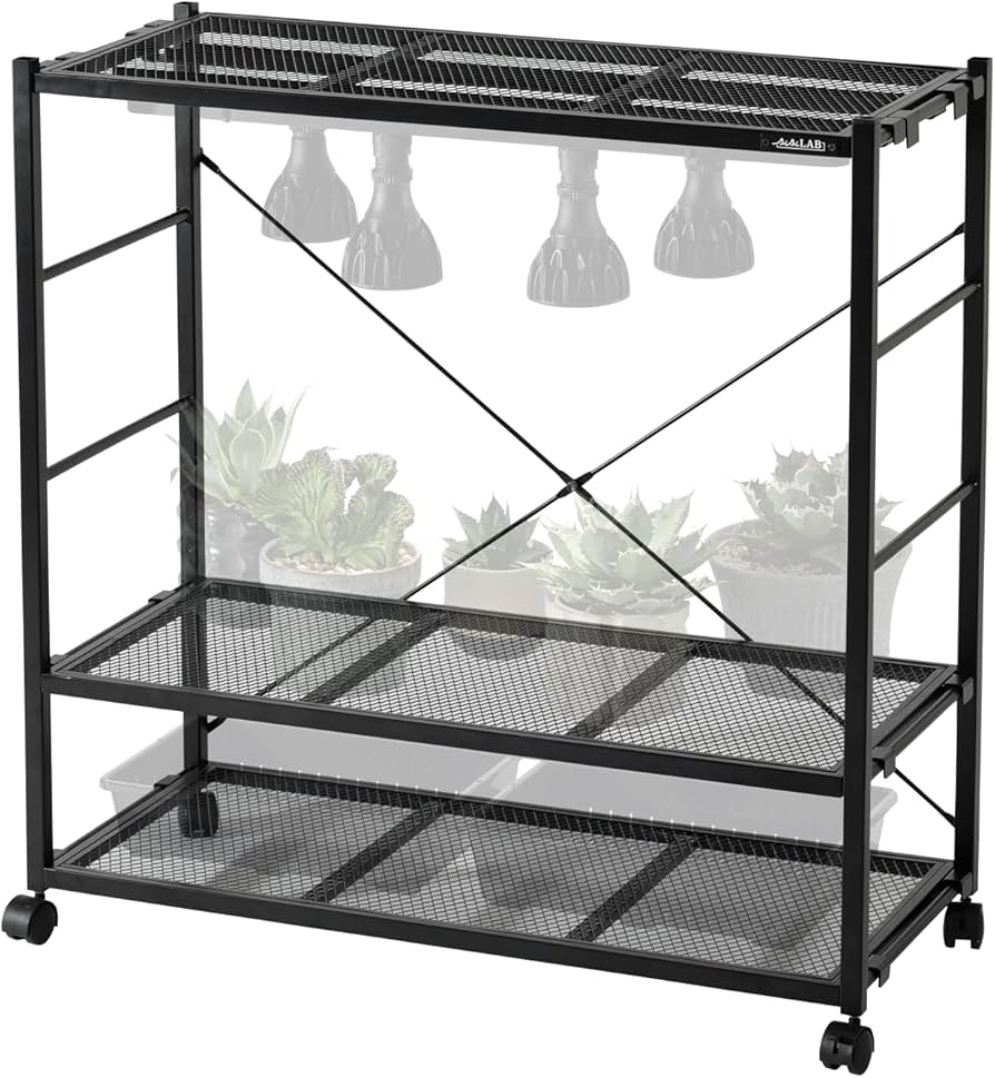 Amazon.co.jp: BIBILAB(ビビラボ) ビザールプランツラック LPR-800-BK