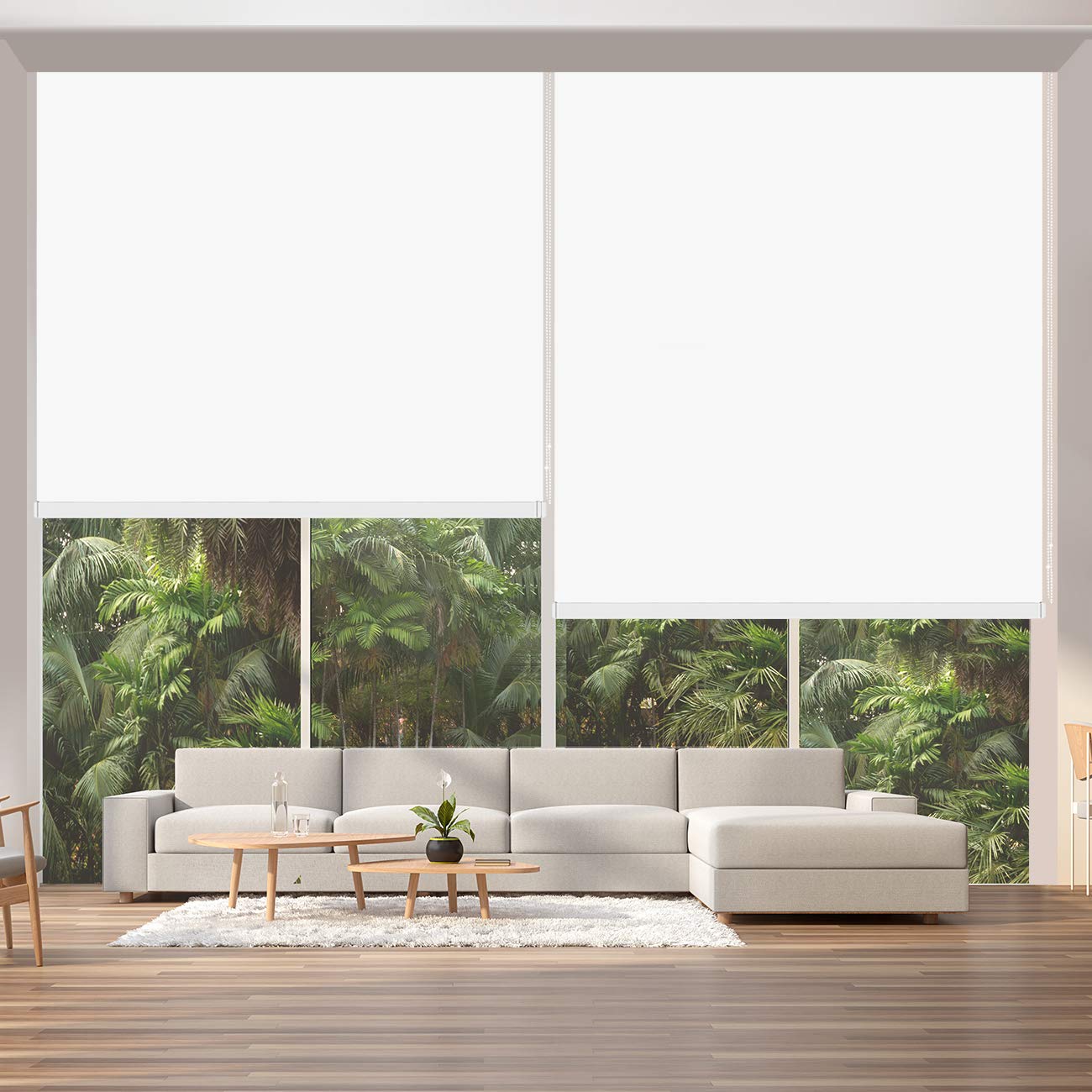 Amazon｜ロールスクリーン ロールカーテン ANONOUS 幅165cm 丈120cm 1