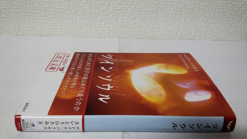 ツインソウル: なんのために双子の魂はめぐり逢うのか (5次元文庫 ハ 1