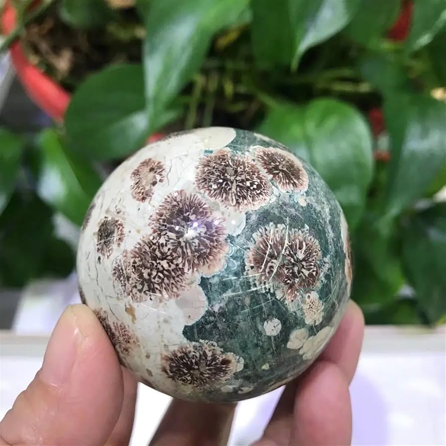 716vJzvBZQL._AC_UF894,