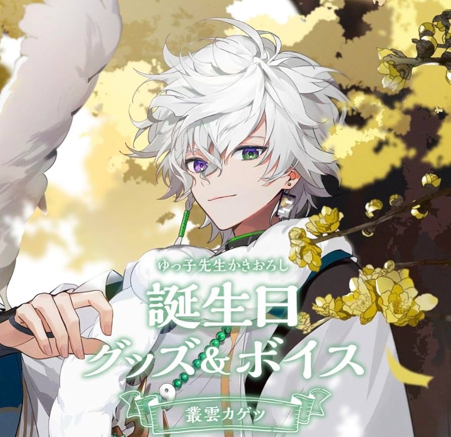 Amazon.co.jp: にじさん 誕生日グッズ 叢雲カゲツ フルセット : おもちゃ