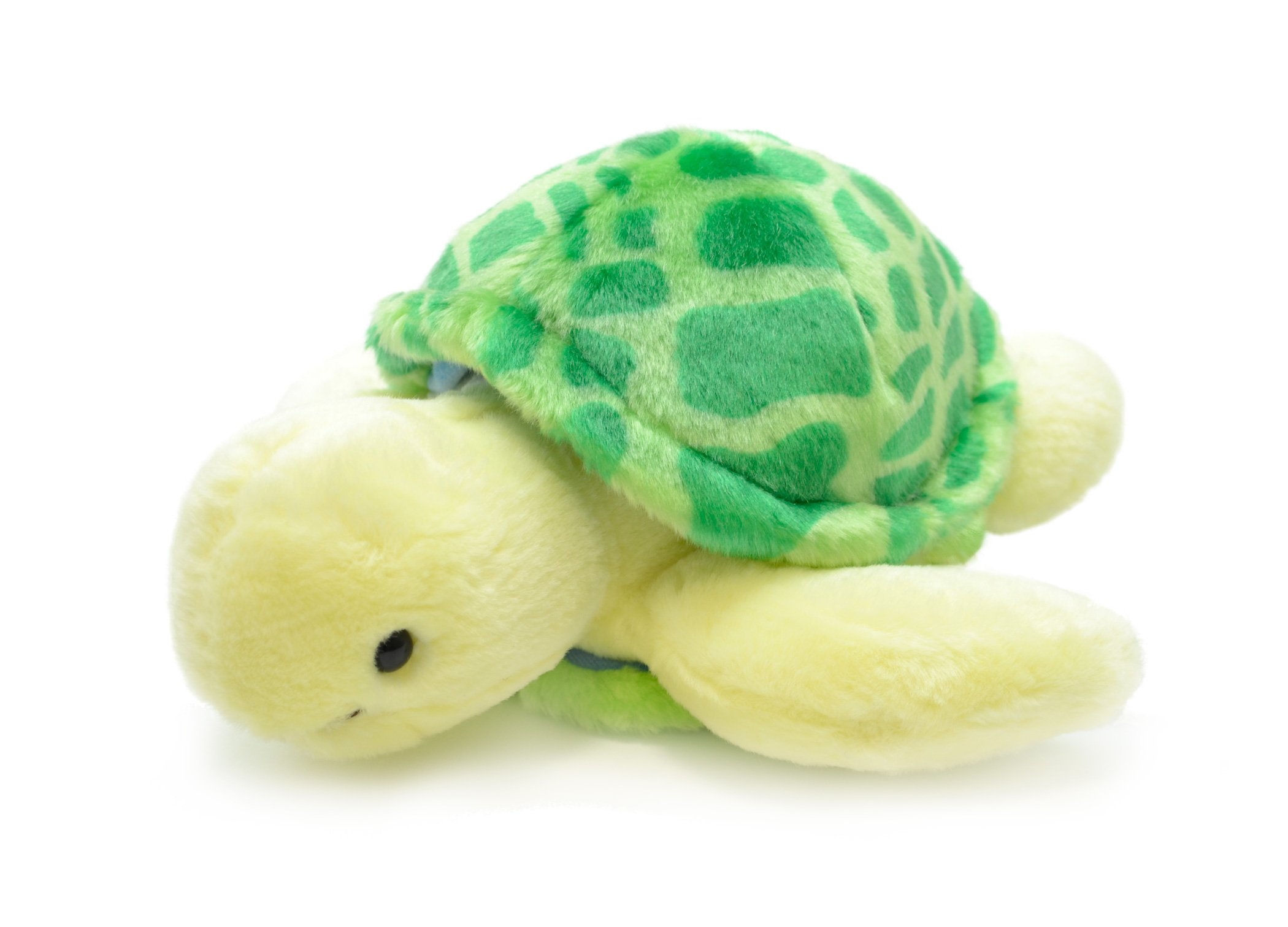 Amazon.co.jp: AQUA ぬいぐるみ マリン カメのノブユキくん グリーン