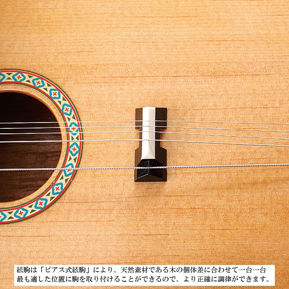 Amazon | SUZUKI スズキ 電気大正琴 桂 TAS-11 | 大正琴 | 楽器・音響機器