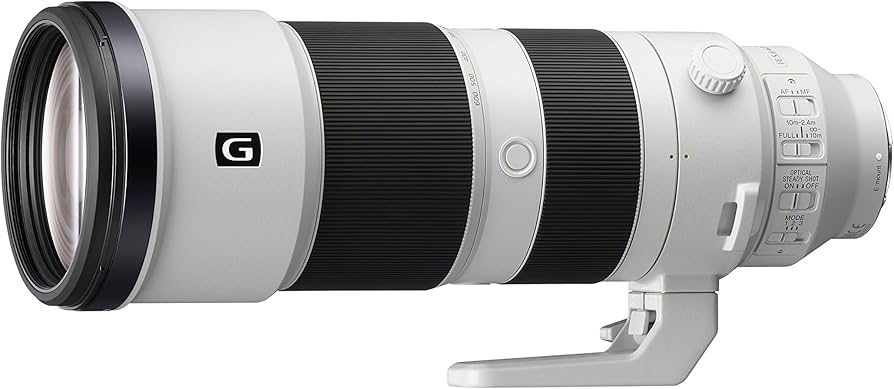 Amazon.com : Sony FE 200-600mm F5.6-6.3 G OSS Super Telephoto Zoom