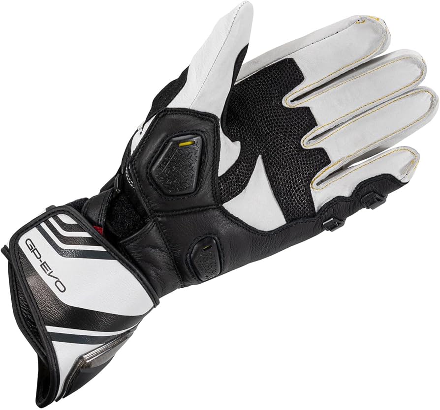 Amazon.co.jp: RSタイチ(RS TAICHI) GP-EVO.R レーシング グローブ