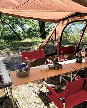 71+E+E8cWwL._AC_UF350,