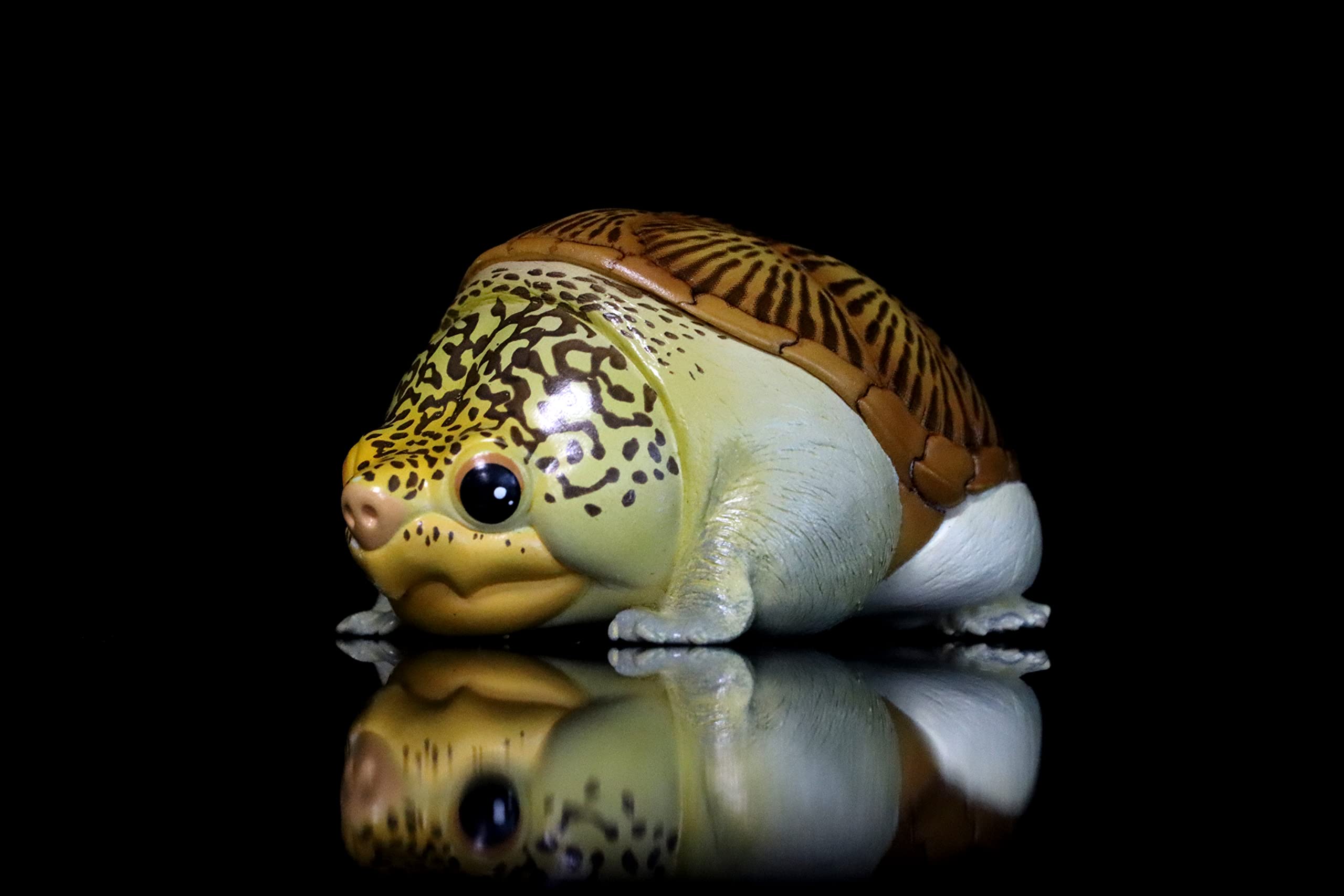 Amazon | 動物惑星 ガチャガチャ ブラインド ボックス カメ 全8種