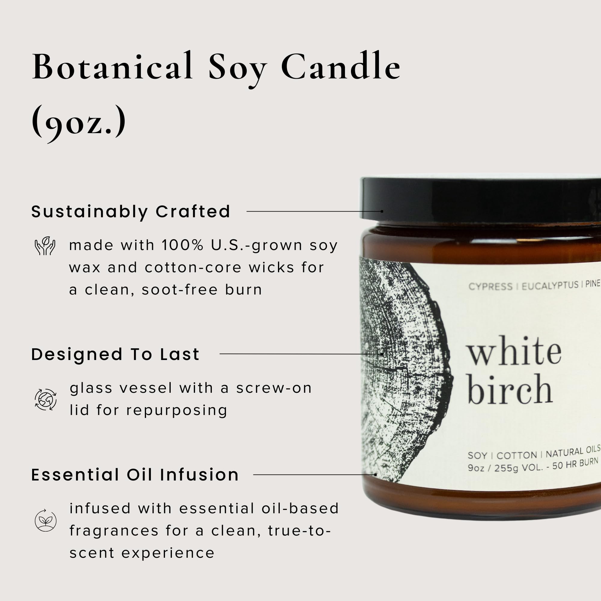 Amazon.com: Broken Top - White Birch Pure Soy Wax Candle | 9 oz