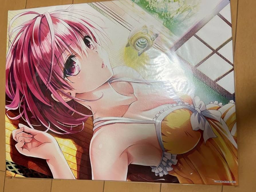 Amazon.co.jp: To LOVEる とらぶる 15周年記念原画展 キャンバスアート