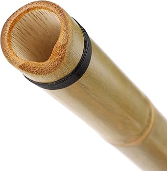 Amazon | Mocoluz 尺八 初心者 セット つゆきり 収納 保護ケース付き