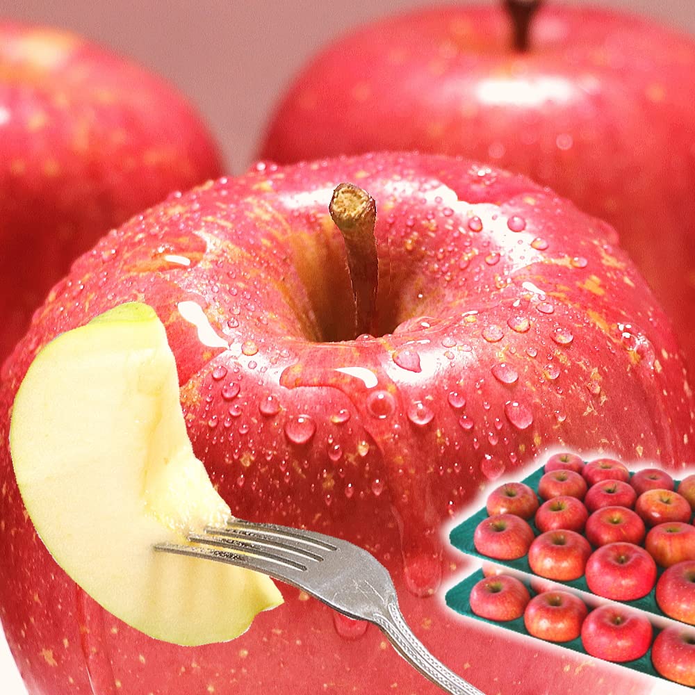 Amazon.co.jp: りんご 10kg箱 サンふじ ご家庭用/訳あり 青森 10キロ箱