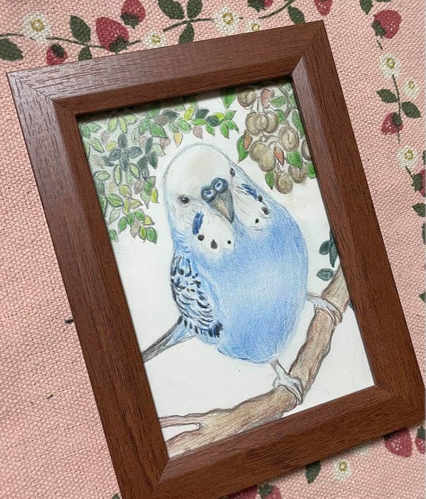 Amazon.co.jp: 色鉛筆画 リアル可愛いセキセイインコ色鉛筆画 原画