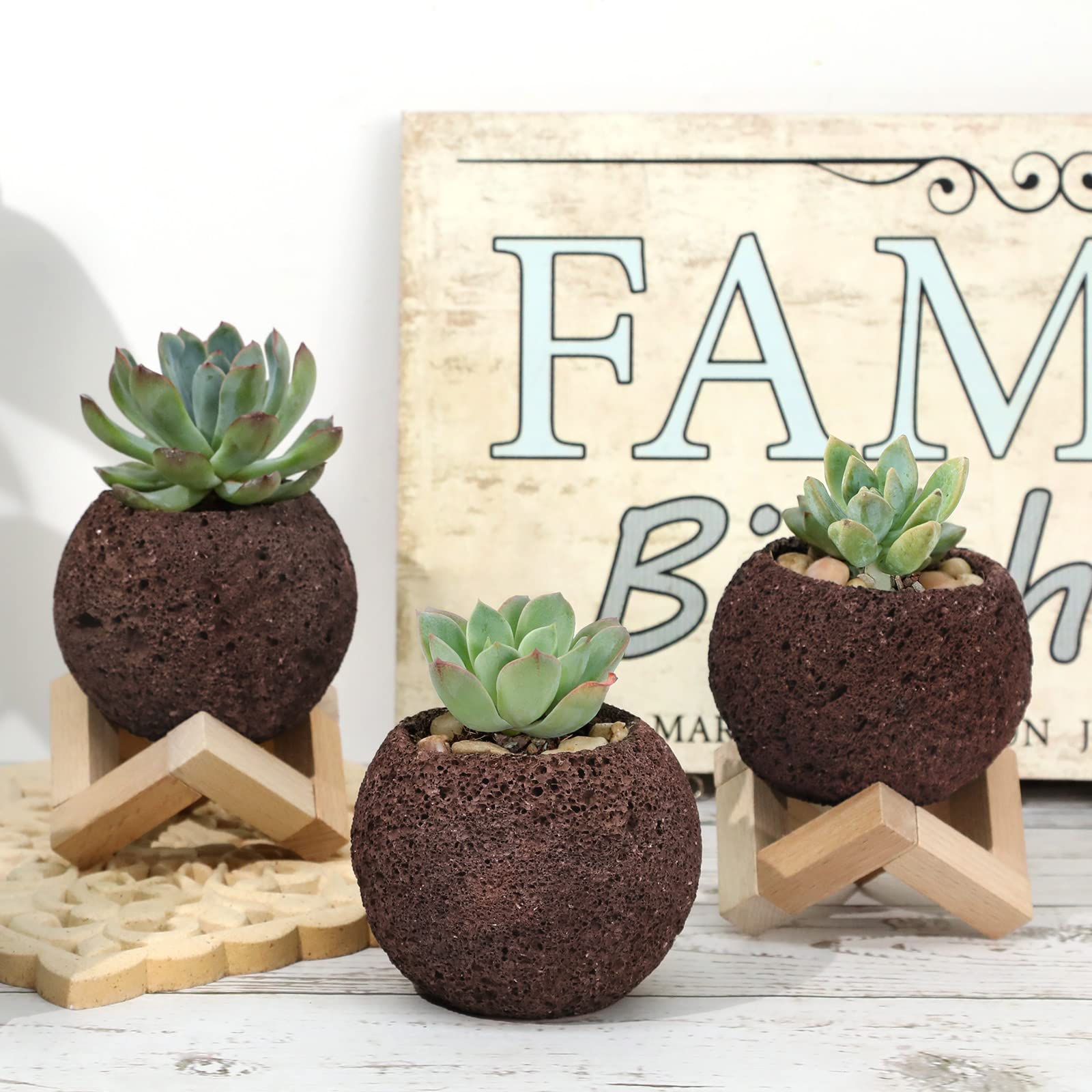 Amazon.co.jp: 天然溶岩石多肉植物の鉢 4個セット 2.1~2.5インチ ミニ