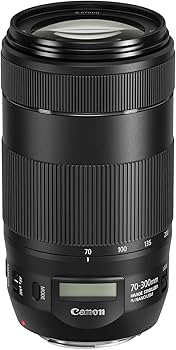 Amazon.co.jp: Canon EF 70-300mm f/4-5.6 IS II USM : CANON: 家電