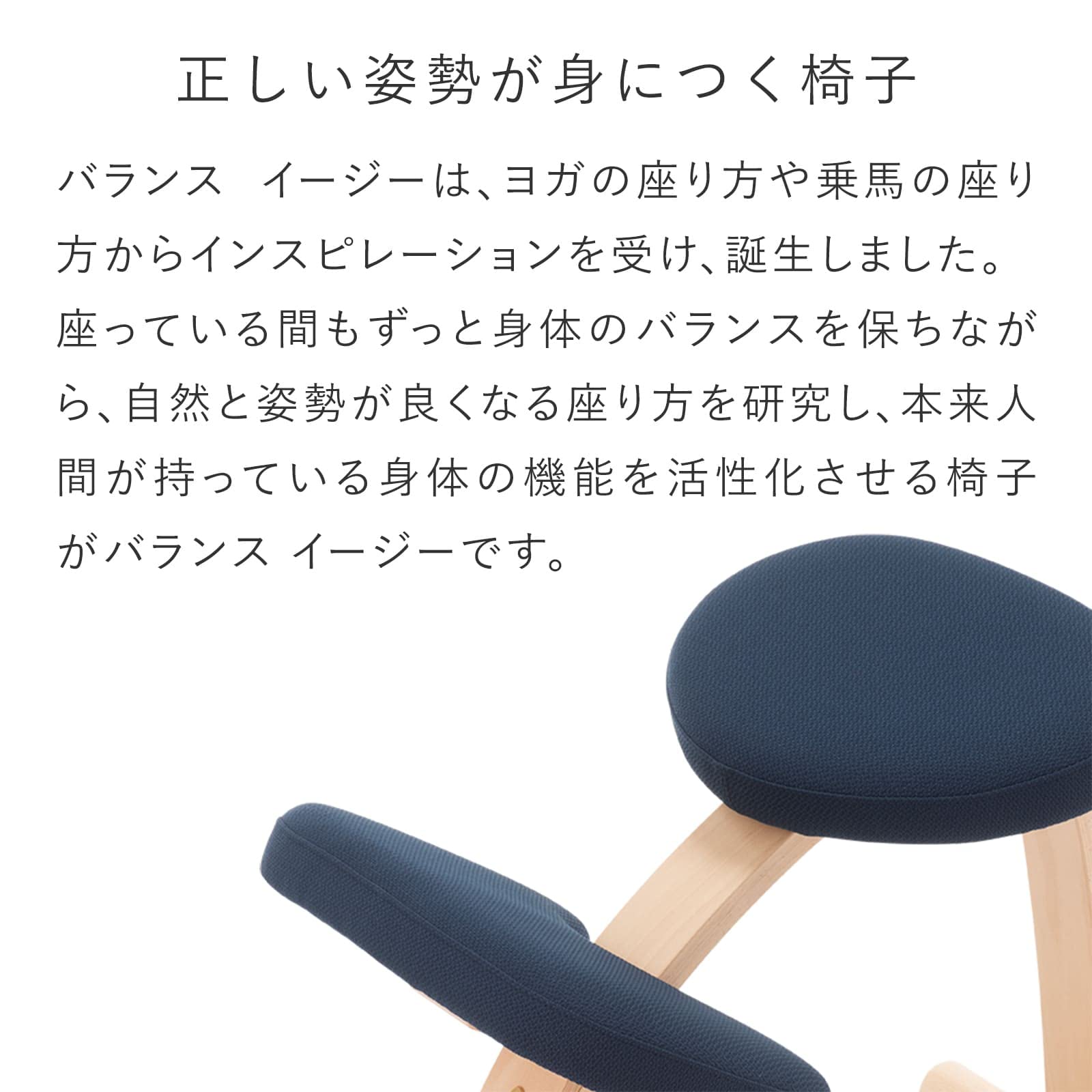Amazon.co.jp: Balance Chair Easy Navy Balance Lab (Formerly