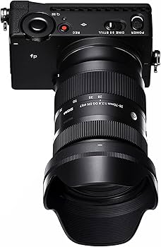 Amazon.com : Sigma 28-70mm F2.8 DG DN for L-Mount : Electronics