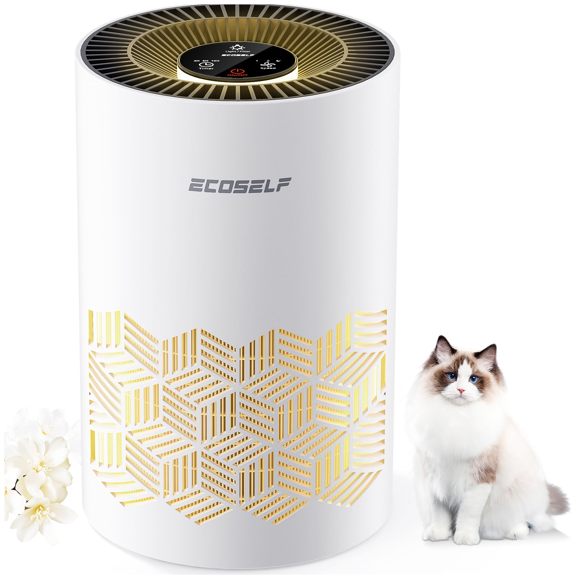 Amazon.co.jp: ECOSELF 空気清浄機 小型 【2025新モデル Hepa