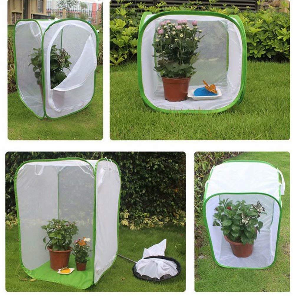 Amazon | 蝶 虫かご 昆虫飼育箱 昆虫ケージ 折りたたみ 飼育ケース