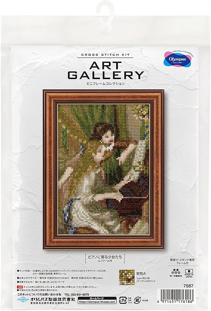 手作り刺繍アート女性 安全な透明アクリルフレーム付き 約40x60cm