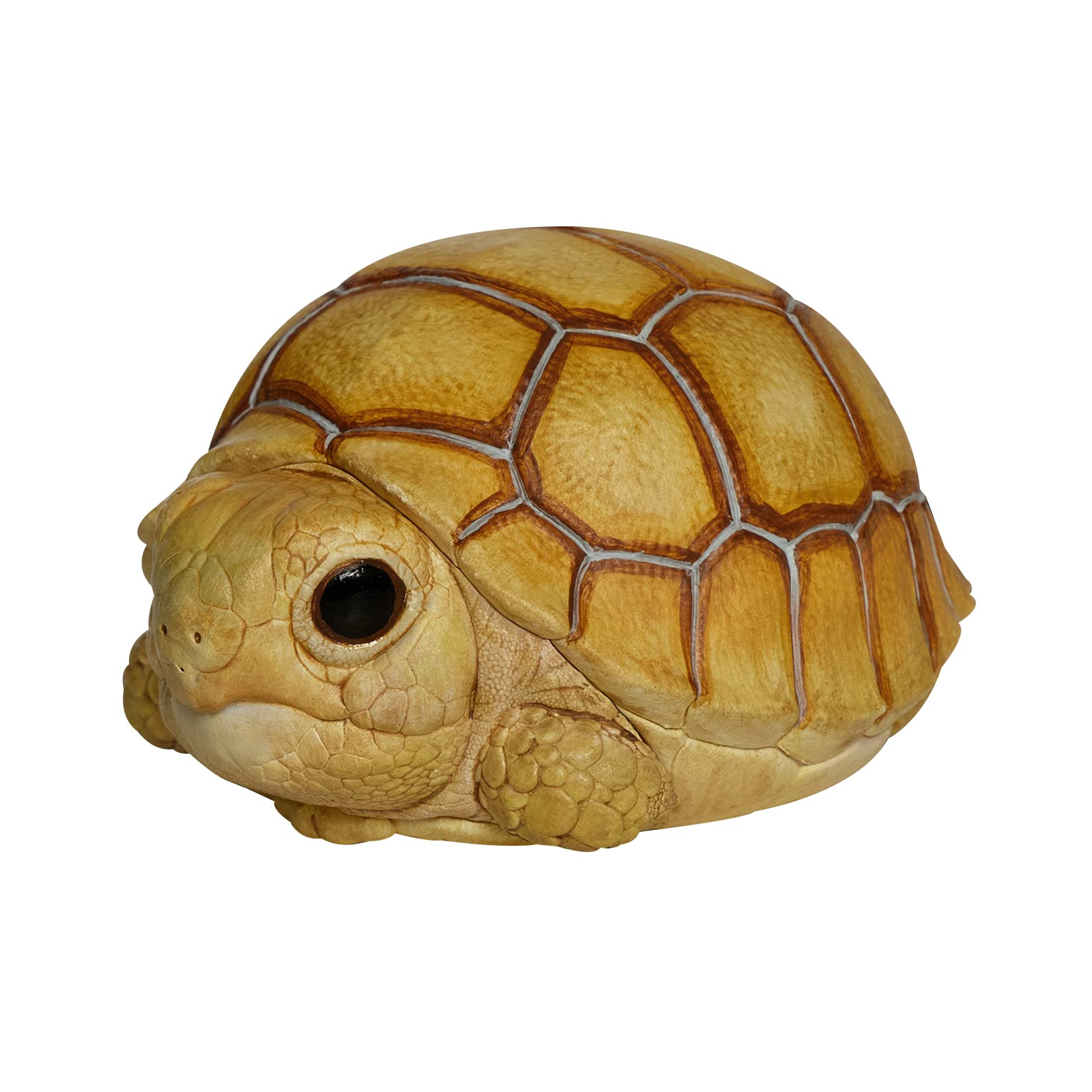 Amazon | BACALYSO | 動物惑星 五周年 限定版 カメ 亀 ガチャガチャ