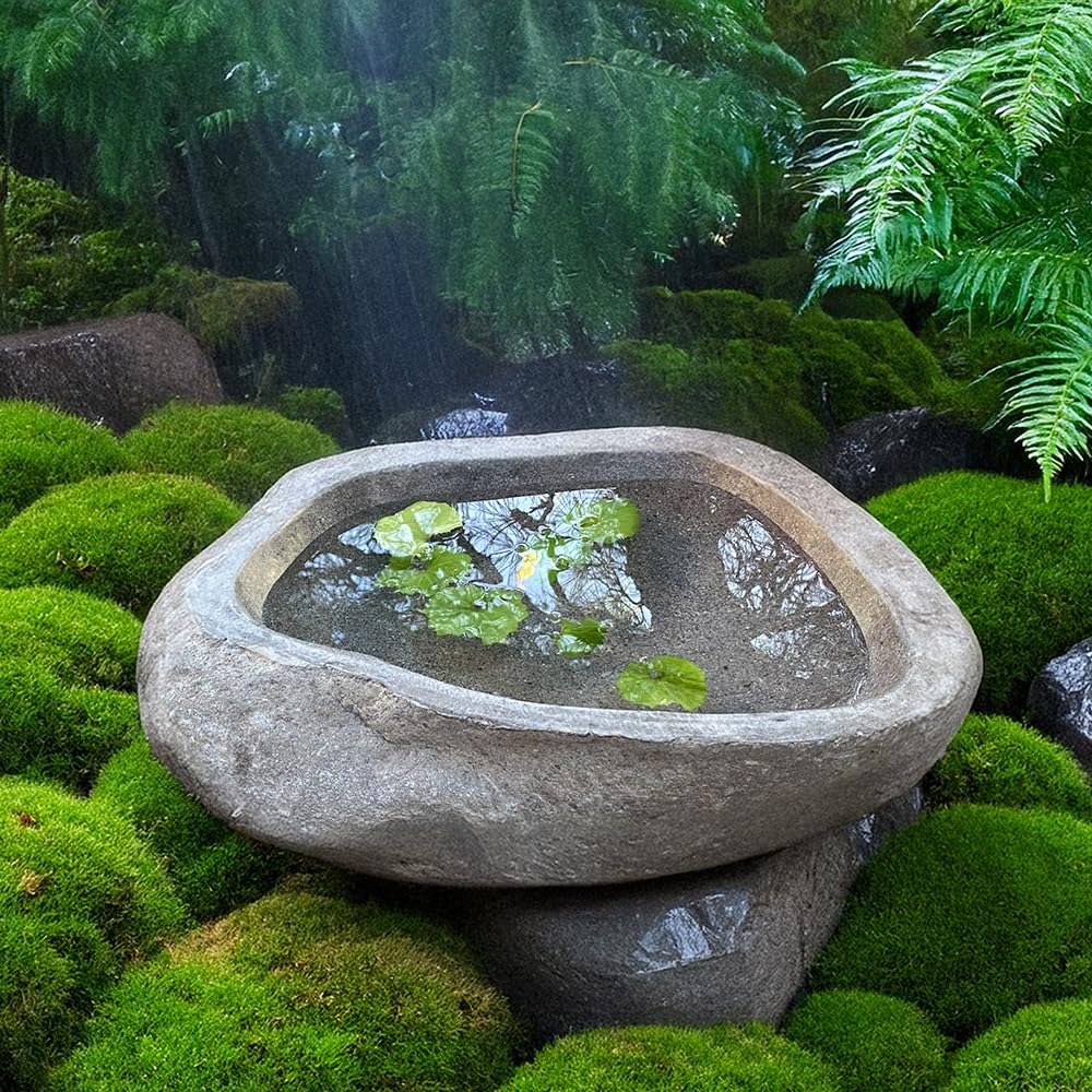 Amazon.co.jp: つくばい 蹲 手水鉢 石 (S) 鉢 水鉢 睡蓮鉢 スイレン鉢