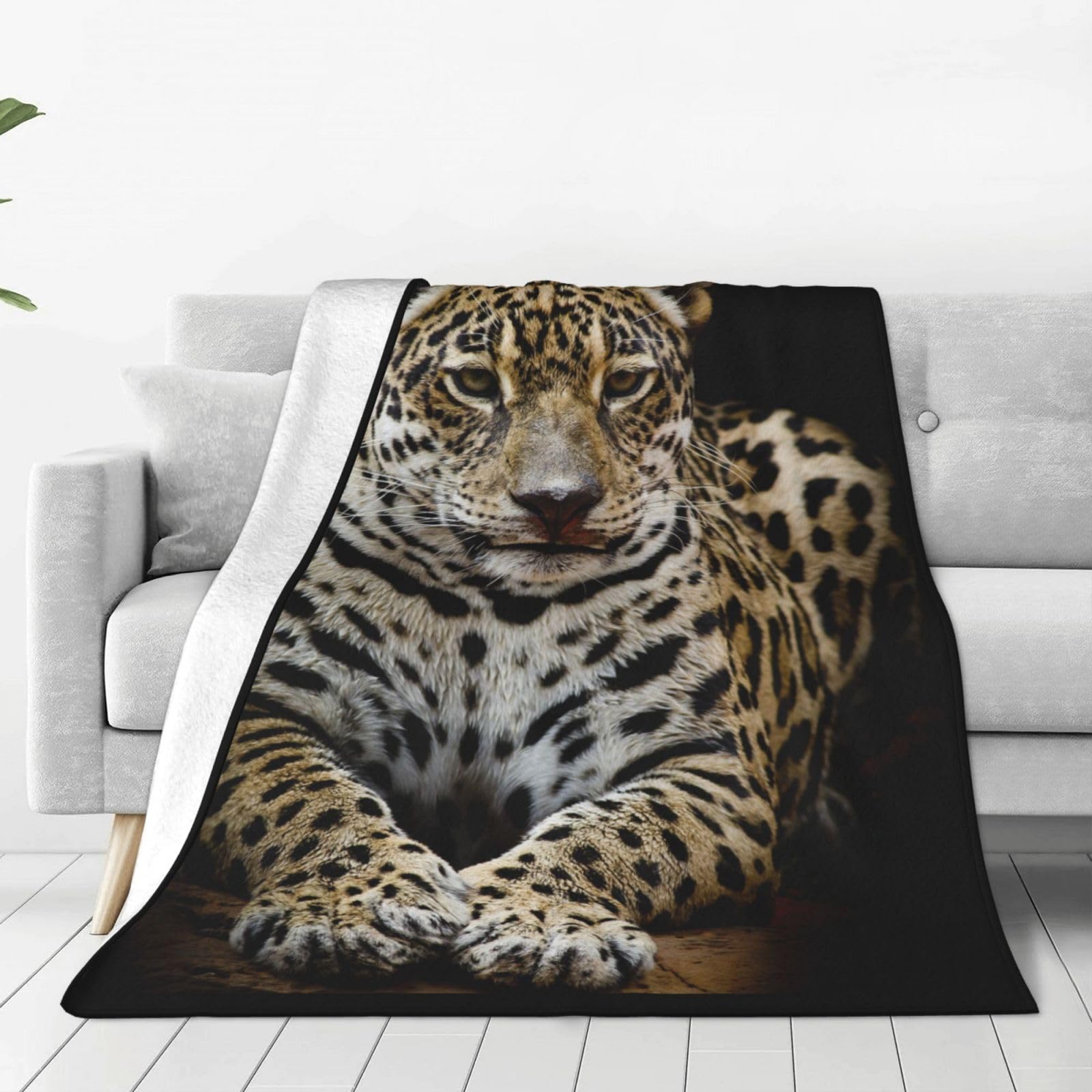 Amazon｜毛布 ヒョウ 豹 豹柄 ブランケット シングル 夏用 掛け毛布