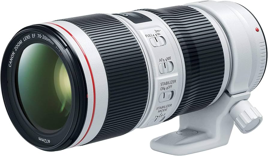 Amazon.com : Canon EF 70-200mm f/4-32 II USM Lens for Canon