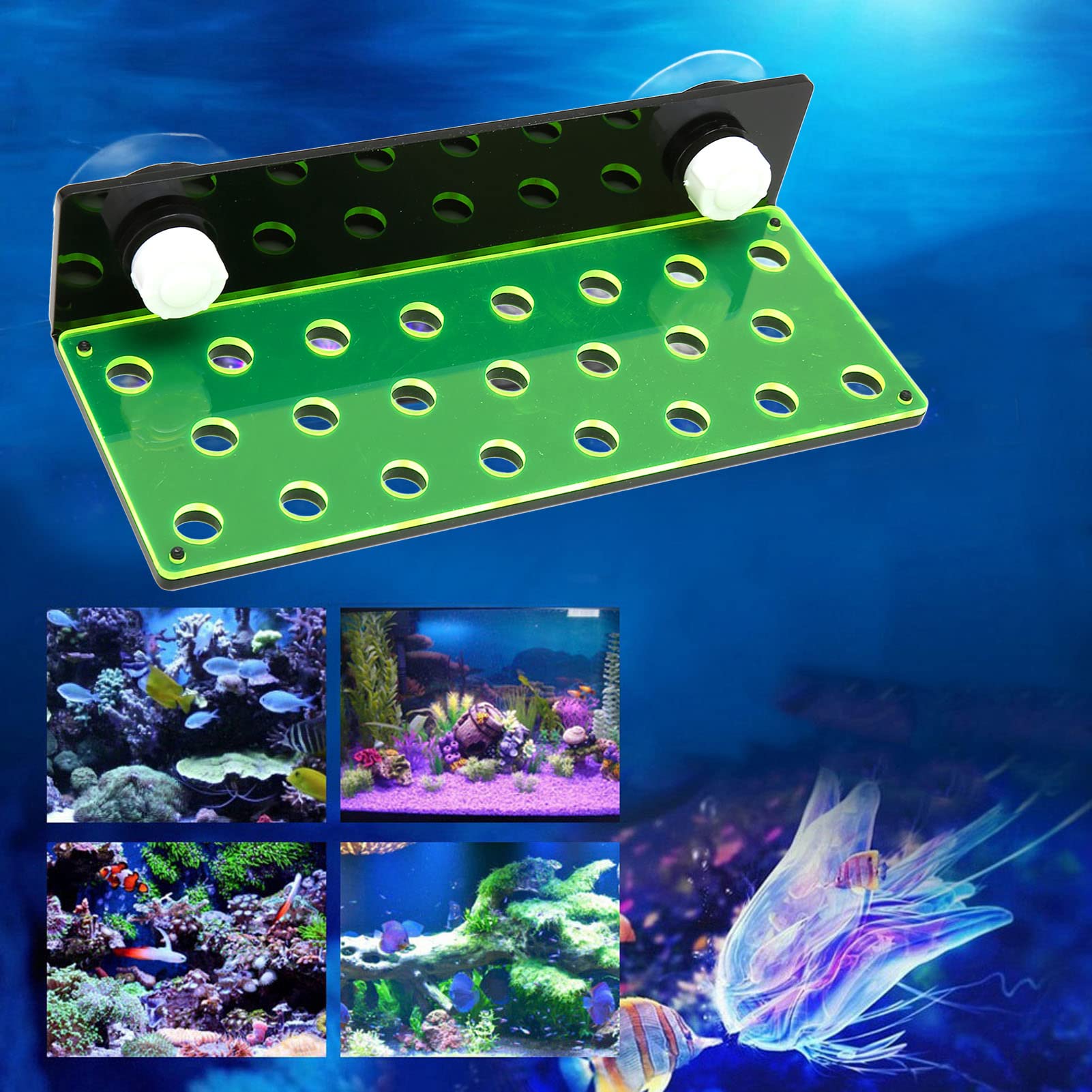 サンゴフラグベース 23穴 2個 サンゴフラグベース 23穴 2個 サンゴフラグ