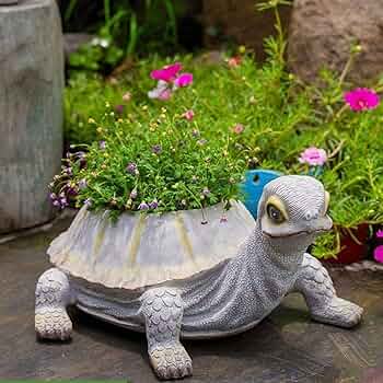 71BgewyKvZL._AC_UF350,