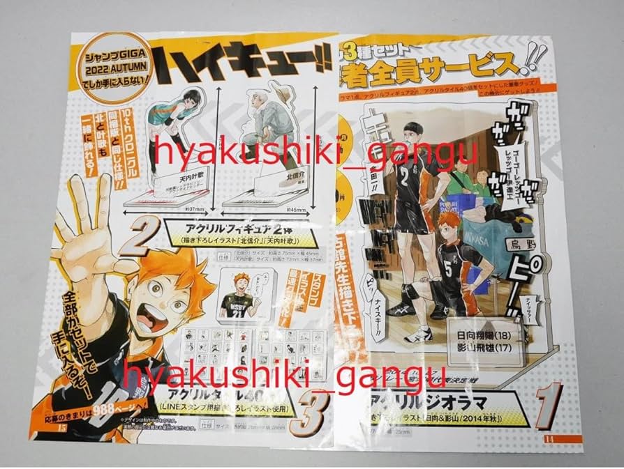 Amazon.co.jp: ハイキュー!! 応募者全員サービス ジャンプGIGA 2022