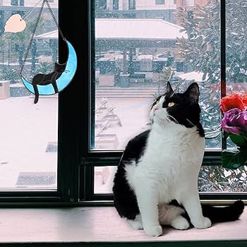 Amazon.co.jp: ステンドグラス 猫 月 装飾 ハンドメイド スリーピング