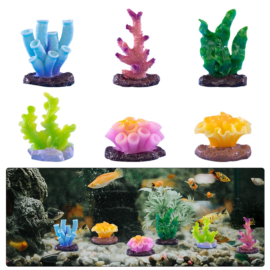 Amazon.co.jp: DeryArcle 珊瑚 ミニチュア 置き物 6個セット サンゴ
