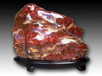 71Csg++6b5L._AC_UF350,