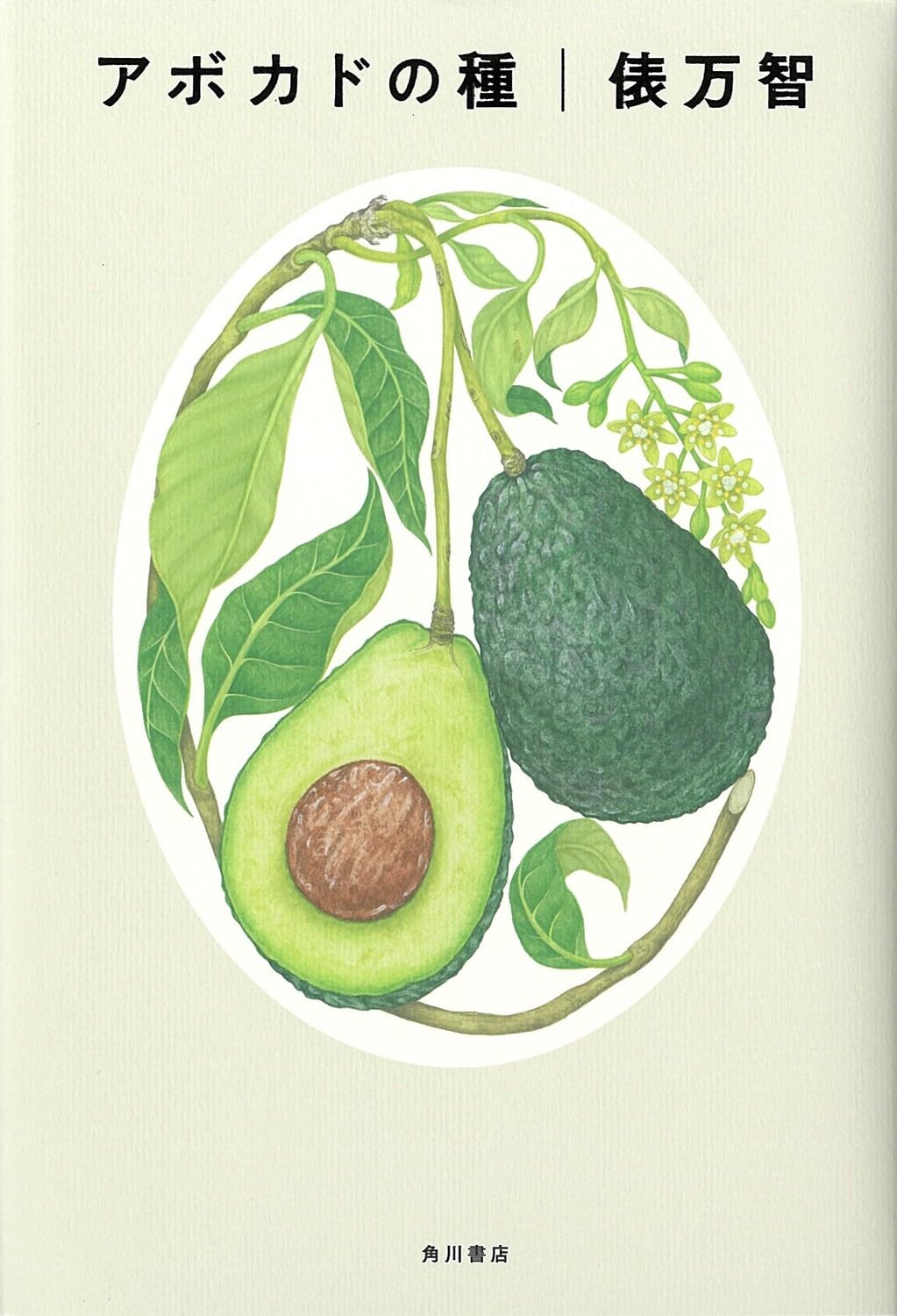 アボカドの種 | 俵 万智 |本 | 通販 | Amazon
