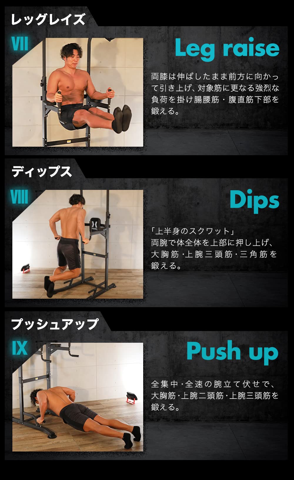 Amazon | HAIGE(ハイガー) ぶら下がり健康器 プロユース最高峰モデル