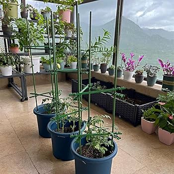 Amazon.com : 4Feet 48inch Garden Stakes Sturdy Plant Sticks