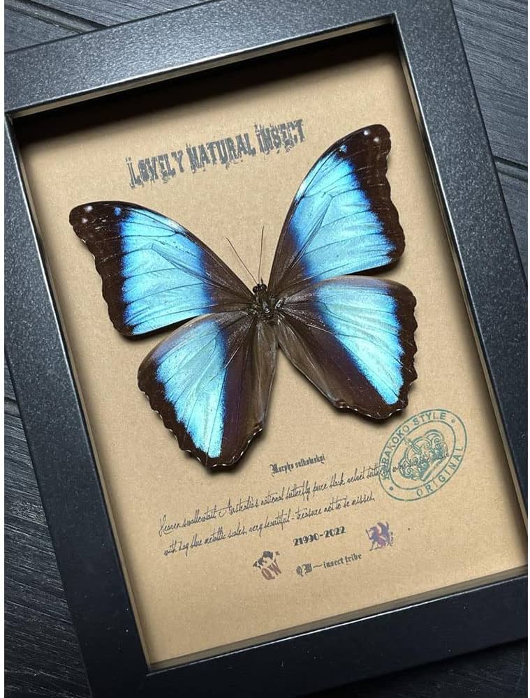 71EFJpTnQML._AC_UF894,