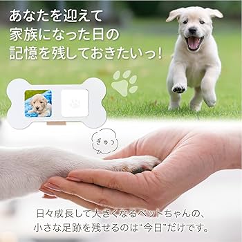 Amazon | THEN(ゼン) メモリアル肉球フォトフレーム 犬 猫 ペットのお