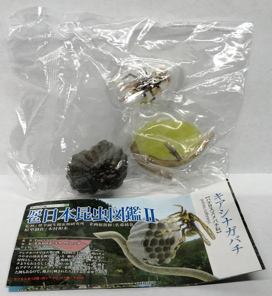 Amazon | キアシナガバチ 原色図鑑 原色日本昆虫図鑑II 蜂 ハチ