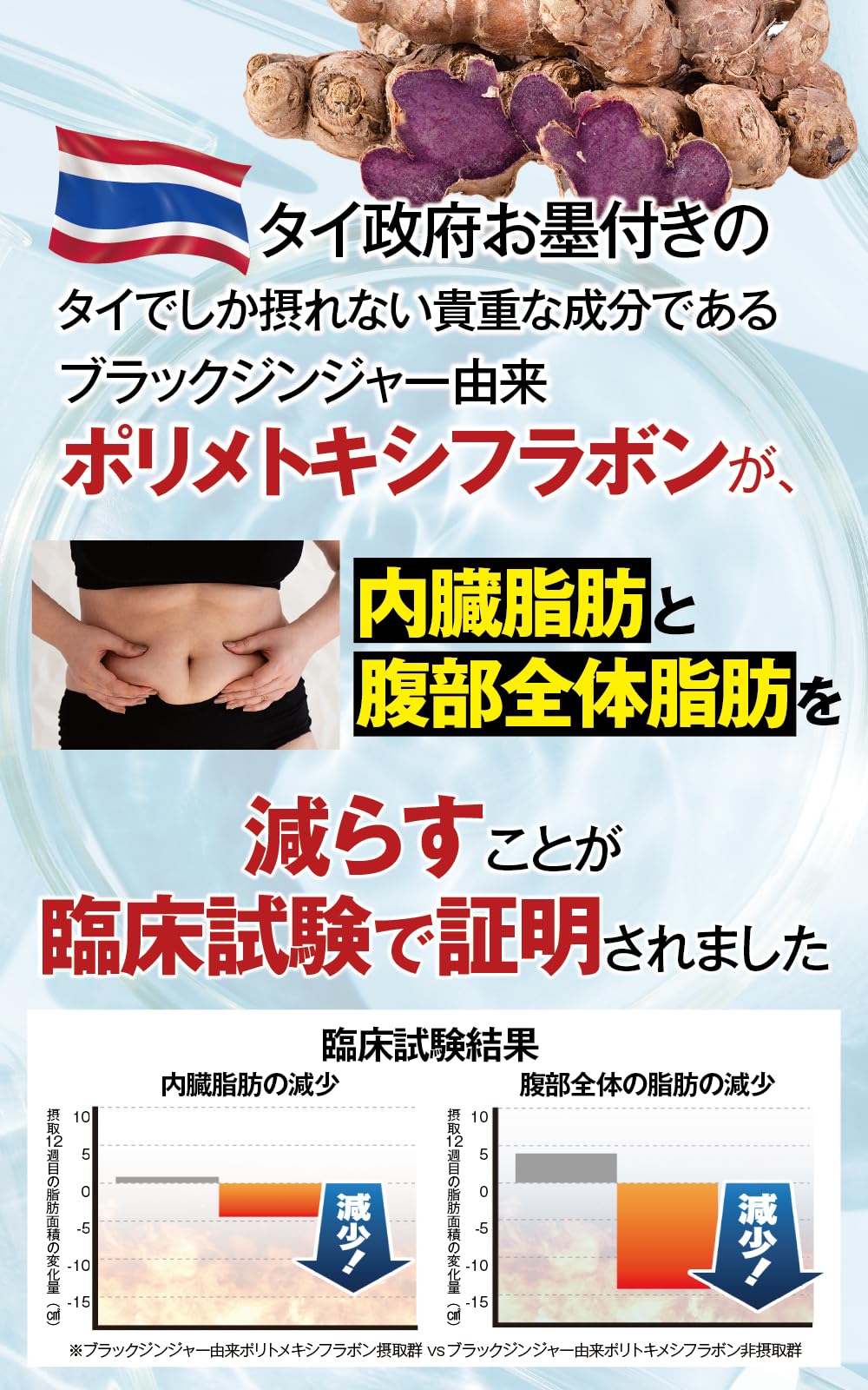 Amazon | モヤセル 30粒30日 BMI が高めの方の腹部の 脂肪 を減らす