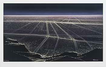 71ExP8lsaRL._AC_UF350,