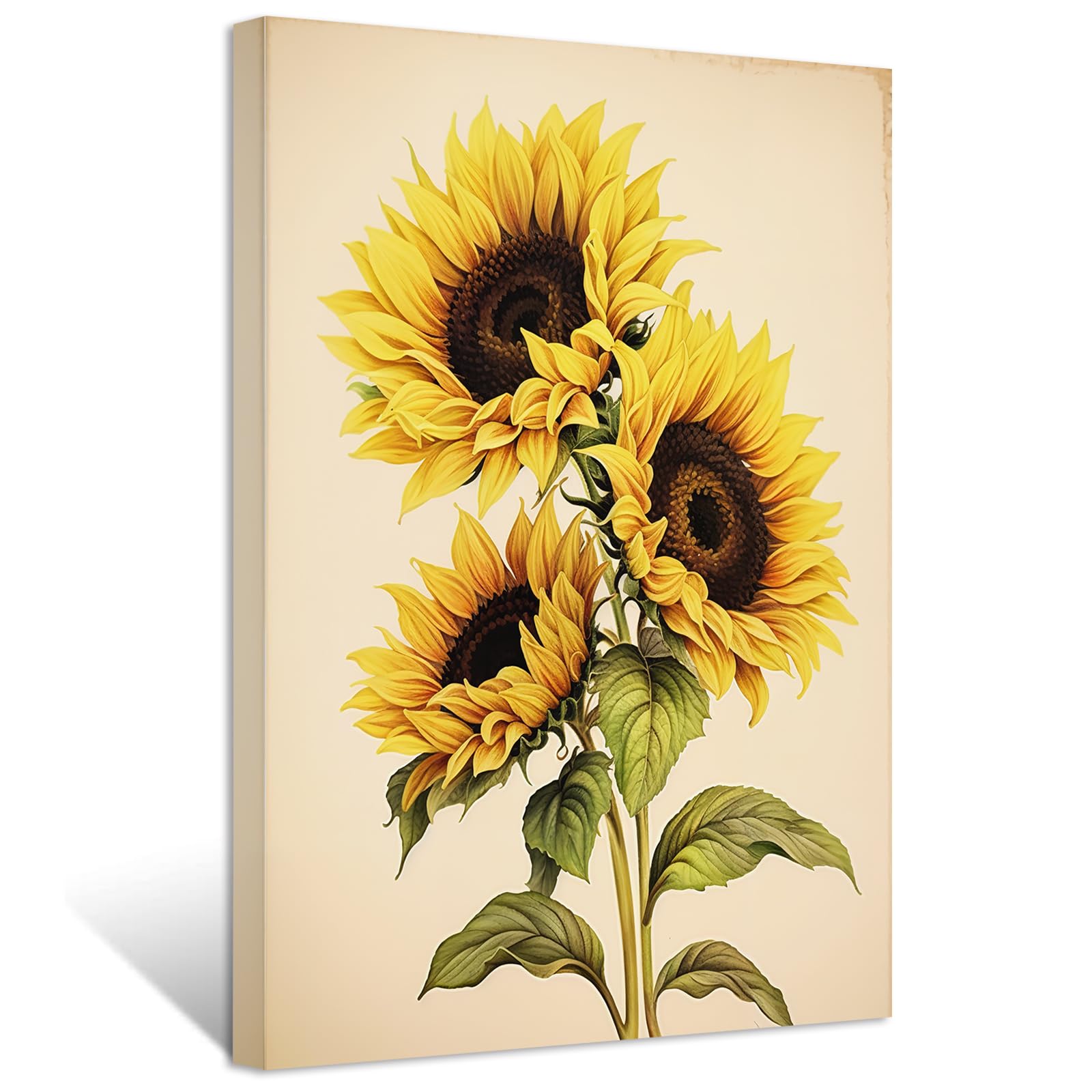 ❀ひまわりページ❀ ひまわり様 Amazon.co.jp: ZXHYWYM ひまわり