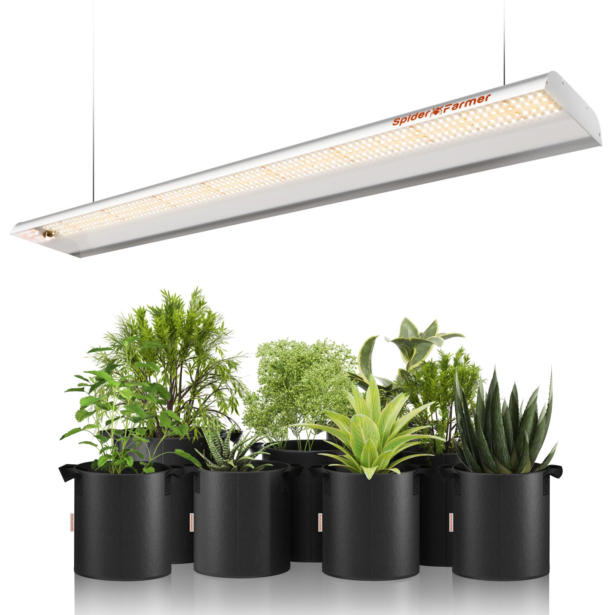 Amazon.com : Spider Farmer SF600 LED Grow Lights 2x4 ft Coverage