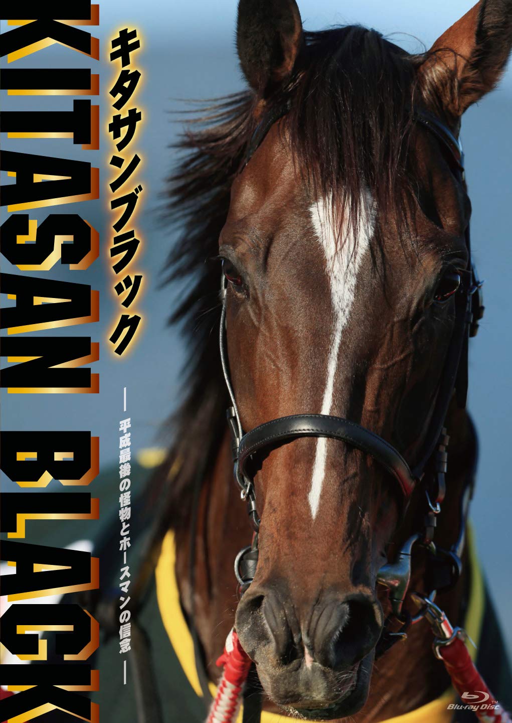 有馬記念 ポスター キタサンブラック Amazon.co.jp: JRA 競馬 ポスター