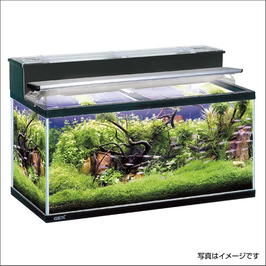 Amazon | GEX AQUARIUM マリーナガラス水槽90cmスリム MR-13Bi 黒枠