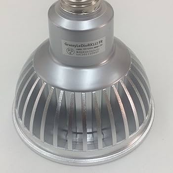 Amazon | ボルクスジャパン GrassyLeDio(グラッシーレディオ) RX122