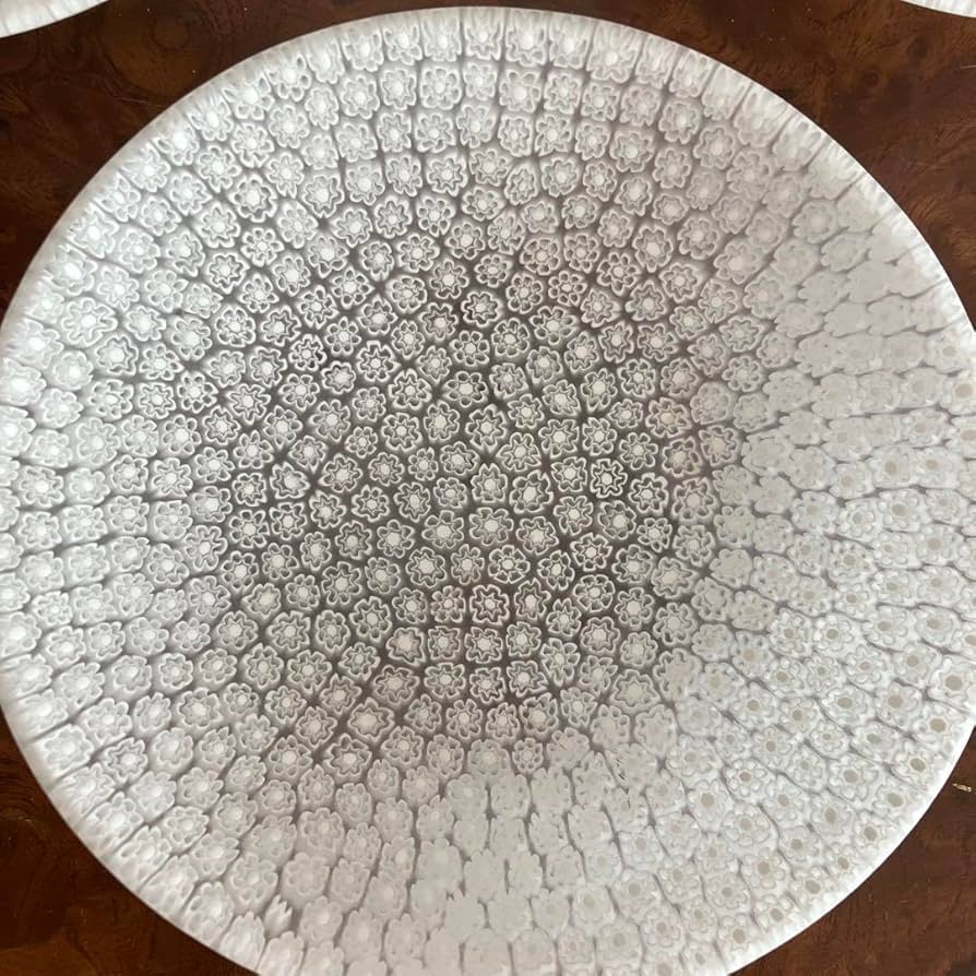 Amazon.co.jp: エルコーレモレッティ① プレート お皿 : ホーム＆キッチン