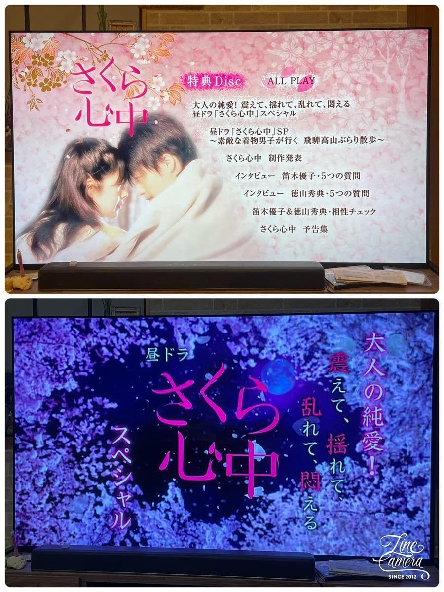 さくら心中 邦画TVドラマDVD 全12巻 レンタル落ち 笛木優子 徳山秀典